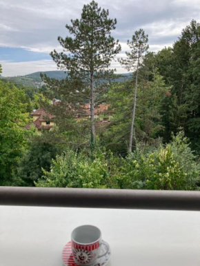 Don Balkan Apple, Vrnjačka Banja
